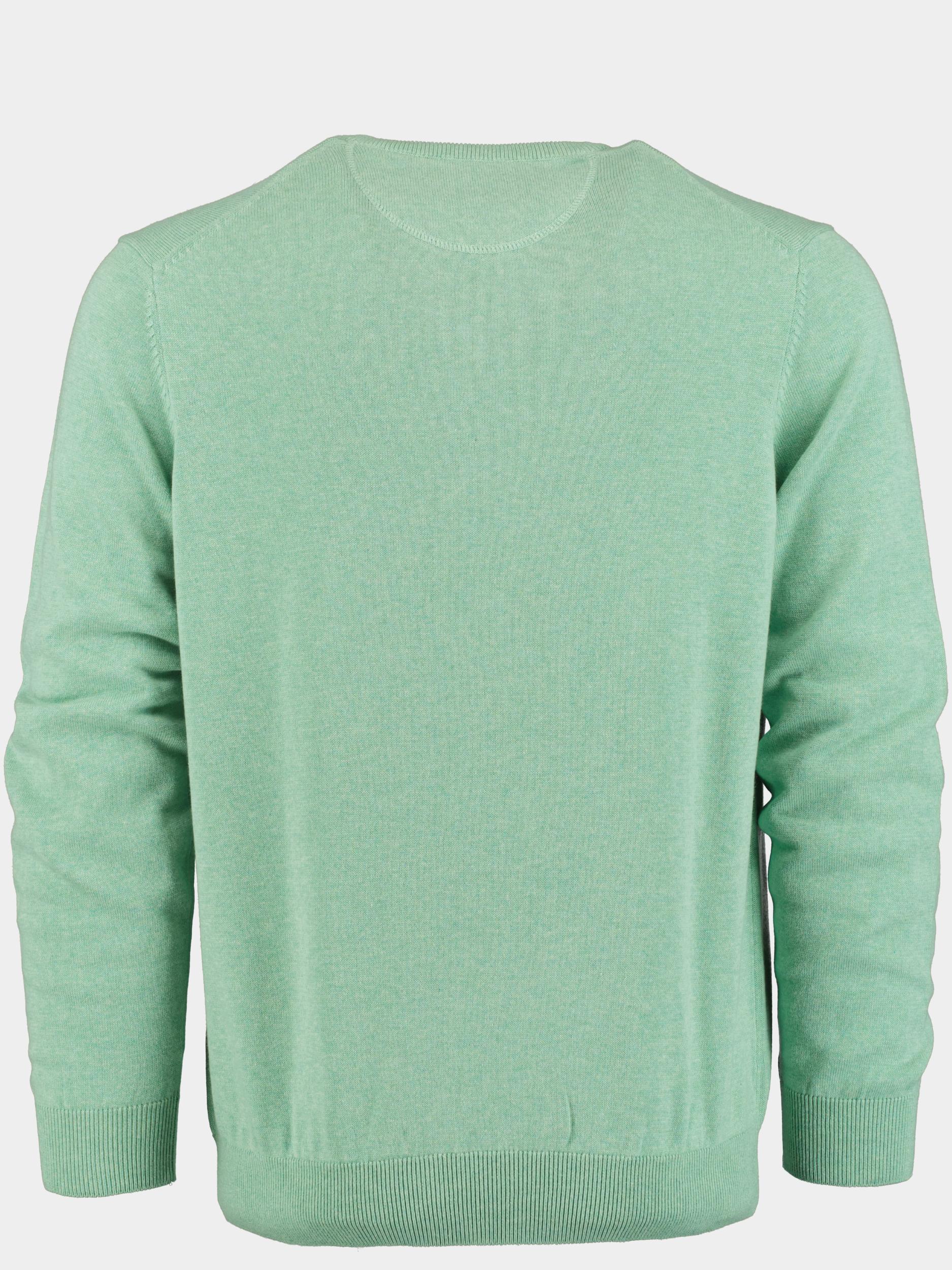 Bos Pullover Groen Cotton Regular Fit 418100CCT-13/725